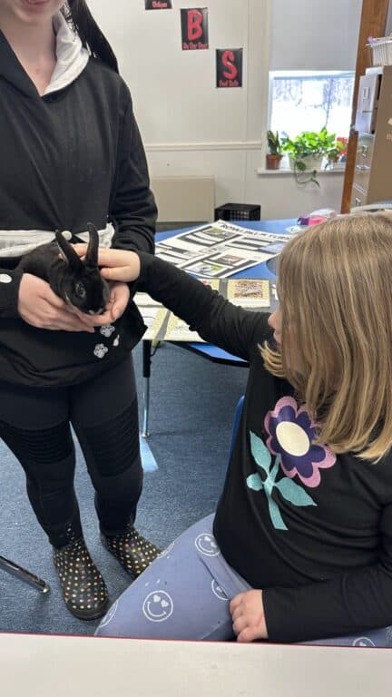 CVS student petting a rabbit