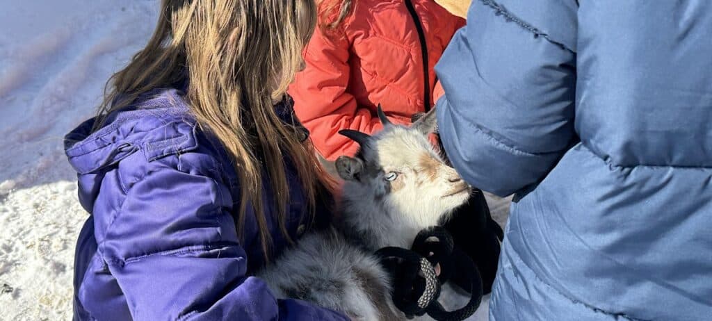 A homeschool student shows a goat to the CVS students