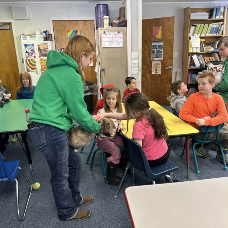 A rabbit gets passed around the classroom